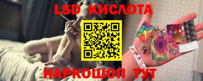 шишки Славгород