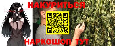 шишки Славгород