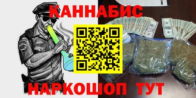 шишки Славгород